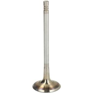FRECCIA R6900/SCR Einlassventil FRECCIA R6900/SCR Einlassventil