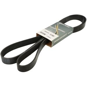 Dayco 8PK2043HD Keilrippenriemen - Keilrippenriemen Dayco 8PK2043HD Keilrippenriemen - Keilrippenriemen