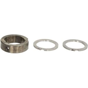 Delphi DEL7189-100BB Diesel Kraftstoffpumpe - Kraftstoffpumpe Delphi DEL7189-100BB Diesel Kraftstoffpumpe - Kraftstoffpumpe