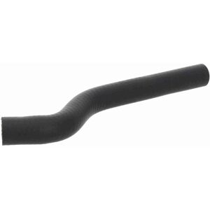 Vaico BMW 3 Kühler-Schlauch - OE 64 21 6 902 686 - 2001-07 Vaico BMW 3 Kühler-Schlauch - OE 64 21 6 902 686 - 2001-07