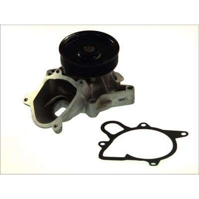 THERMOTEC D1B031TT Wasserpumpe - Mechanischer Antrieb THERMOTEC D1B031TT Wasserpumpe - Mechanischer Antrieb