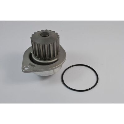 THERMOTEC D1P010TT Wasserpumpe - Mechanisches Dichtungssystem für Peugeot, Citroën THERMOTEC D1P010TT Wasserpumpe - Mechanisches Dichtungssystem für Peugeot, Citroën