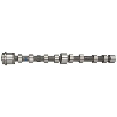 Kolbenschmidt Fiat Ducato Nockenwelle - Einlassseite Kolbenschmidt Fiat Ducato Nockenwelle - Einlassseite