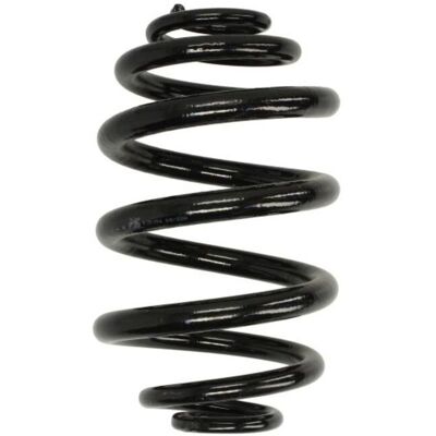 KYB RJ5154 Federspiral - Hinterachse - OEM-Qualität KYB RJ5154 Federspiral - Hinterachse - OEM-Qualität