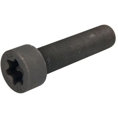 PETERS 030.275-00 Schraube für Kabinenaufhängung PETERS 030.275-00 Schraube für Kabinenaufhängung