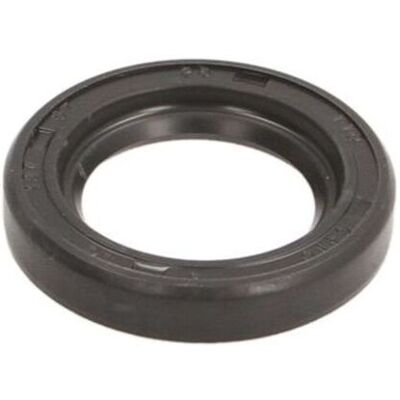 Delphi Elemento DEL5393-252R - Kraftstoffpumpe Delphi Elemento DEL5393-252R - Kraftstoffpumpe