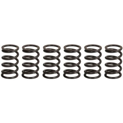 TRW Kupplungsfedernsatz - Clutch Springs TRW Kupplungsfedernsatz - Clutch Springs