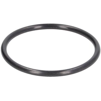 HANS PRIES 117 329 Dichtung - Thermostat HANS PRIES 117 329 Dichtung - Thermostat