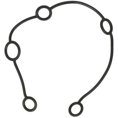 Dichtung, Steuergehäusedeckel DT Spare Parts 2.10262 Dichtung, Steuergehäusedeckel DT Spare Parts 2.10262