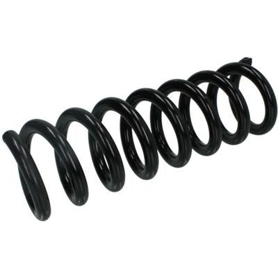 Magnum Technology SM099MT Hinterachse Feder - Feder Magnum Technology SM099MT Hinterachse Feder - Feder