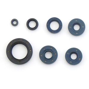 ATHENA BMW F 650 GS Motor-Garniturensatz - Komplett, Hochwertig ATHENA BMW F 650 GS Motor-Garniturensatz - Komplett, Hochwertig