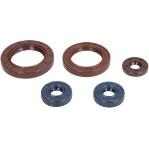 SKF WP 43mm Reibungsring - Gabelteil SKF WP 43mm Reibungsring - Gabelteil