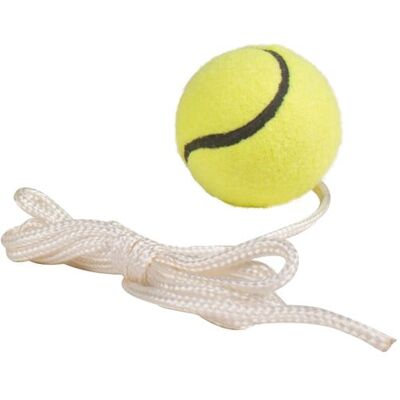 My Hood Extra Ball for Pole Tennis My Hood Extra Ball for Pole Tennis