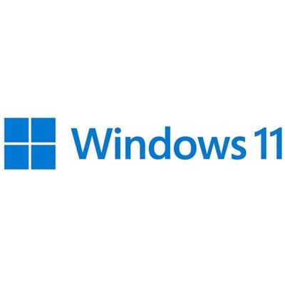 Microsoft Windows 11 Pro - Flash drive - Deutsch Microsoft Windows 11 Pro - Flash drive - Deutsch
