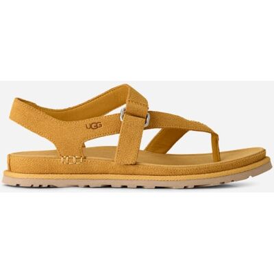 UGG® GoldenGaze Zehentrenner-Sandale für Damen in Wheat Field, Größe 36, Wildleder UGG® GoldenGaze Zehentrenner-Sandale für Damen in Wheat Field, Größe 36, Wildleder