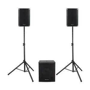 Pronomic Powerstage Concert 1510 2.1 Aktive PA-Anlage 700 Watt