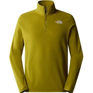 THE NORTH FACE Herren Rolli M 100 GLACIER 1/4 ZIP - EU - male - Grün - S