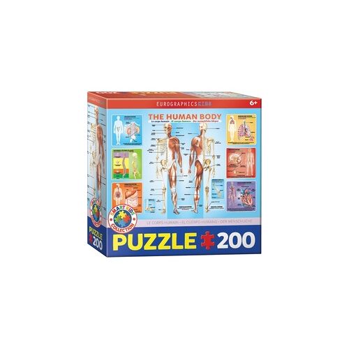 Eurographics Der menschliche Körper 200 Teile, Puzzle