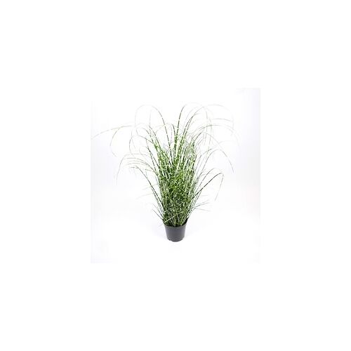 Blauth Import Kunstpflanze Topfpflanze Zimmerpflanze Künstlich Gras grün H 55