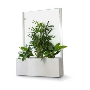 Glasprofi Pflanzkasten Outdoor Sichtschutz / Hygieneschutz, 160x150x50