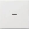 Gira Wippe rws 029027