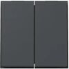 Gira Wippe 2f 329567