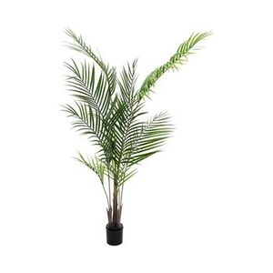 EUROPALMS Großblatt-Areca, Kunstpflanze, 165cm