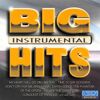 Acoustic Sound Orchestra - GEBRAUCHT Big Hits Instrumental - Preis vom 28.03.2024 06:04:05 h