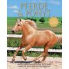 Debby Sly - GEBRAUCHT Pferde und Ponies: Alles über Pferdepflege, Reitsport und die Geschichte des Pferdes - Preis vom 27.03.2024 06:01:49 h