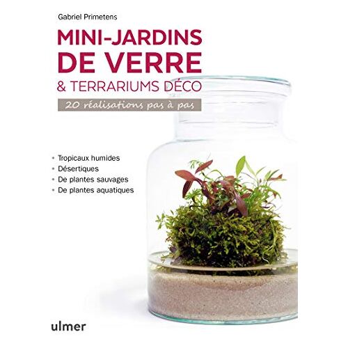 Gabriel Primetens – GEBRAUCHT Mini-jardins de verre & terrariums déco – 20 réalisations pas à pas: 20 réalisation pas à pas – Preis vom 07.01.2024 05:53:54 h