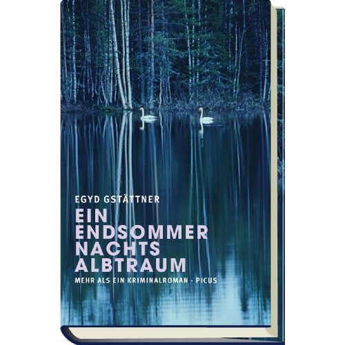 Egyd Gstättner – GEBRAUCHT Ein Endsommernachtsalbtraum: Mehr als ein Kriminalroman – Preis vom 08.01.2024 05:55:10 h