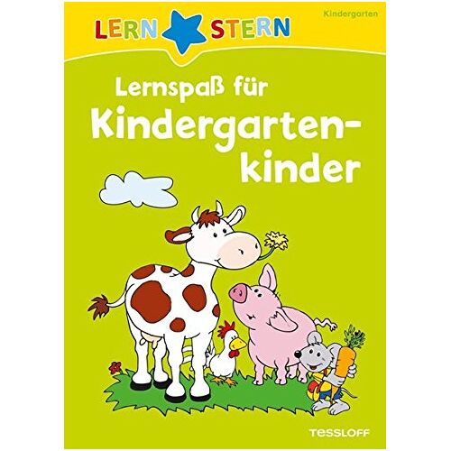 GEBRAUCHT Lernspaß für Kindergartenkinder: Rätseln, spielen, lernen! (LERNSTERN) - Preis vom 18.04.2024 05:05:10 h