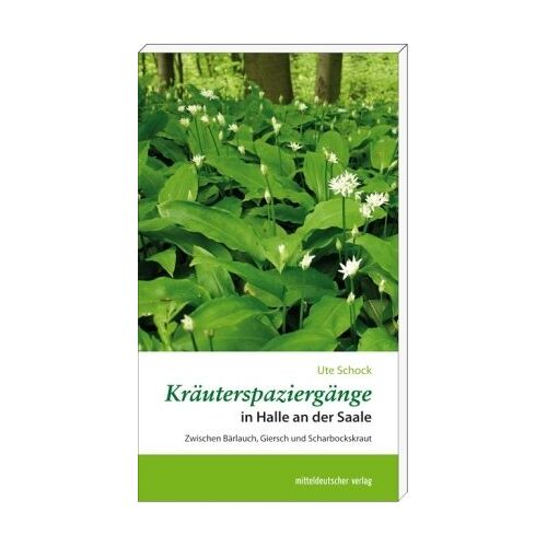 Ute Schock – GEBRAUCHT Kräuterspaziergänge in Halle an der Saale: Zwischen Bärlauch, Giersch und Scharbockskraut – Preis vom 04.01.2024 05:57:39 h