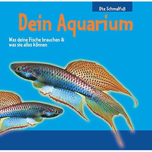 – GEBRAUCHT Dein Aquarium: Was deine Fische brauchen & was sie alles können – Preis vom 08.01.2024 05:55:10 h