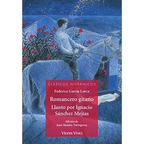 – GEBRAUCHT ROMANCERO GITANO/ LLANTO POR IGNACIO SANCHEZ..(CH) (Clásicos Hispánicos) – Preis vom 04.01.2024 05:57:39 h