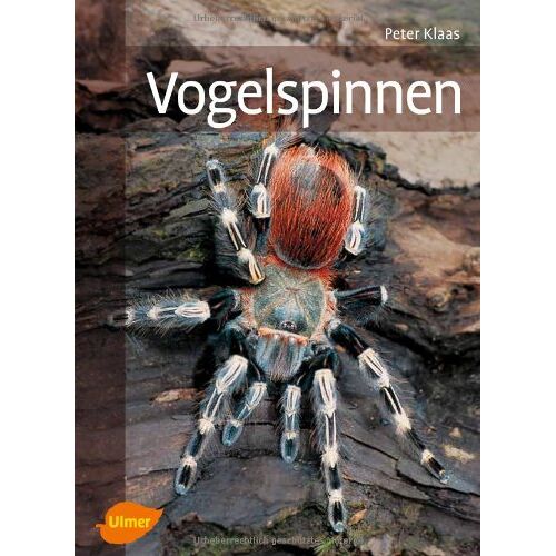 Peter Klaas - GEBRAUCHT Vogelspinnen - Preis vom 19.04.2024 05:01:45 h