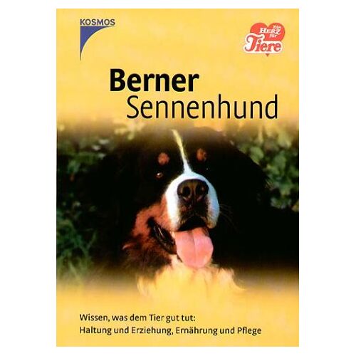 GEBRAUCHT Berner Sennenhund - Preis vom 19.04.2024 05:01:45 h