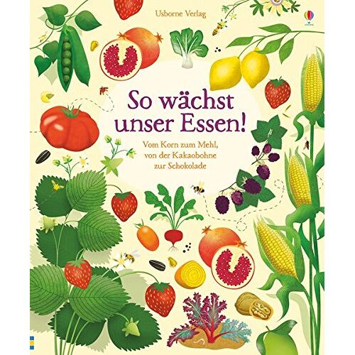 Emily Bone – GEBRAUCHT So wächst unser Essen!: Vom Korn zum Mehl, von der Kakaobohne zur Schokolade – Preis vom 08.01.2024 05:55:10 h