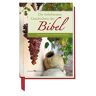 GEBRAUCHT Die beliebtesten Geschichten der Bibel: Nacherzählt von Reinhard Abeln - Preis vom 28.03.2024 06:04:05 h
