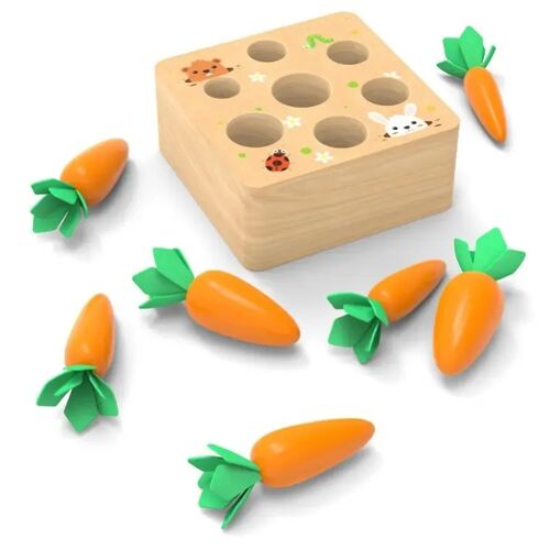 Kinder Karotten Lernspiel Divit KL1 Montessori Stapelspiele Steckspiel