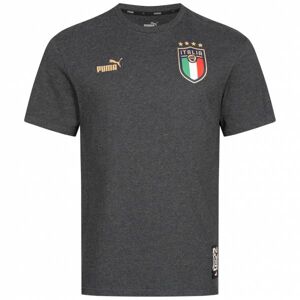 Italien FIGC PUMA FtblCulture Herren Shirt 767134-09 S grau Herren