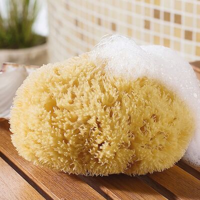 CROLL & DENECKE Naturschwamm beige CROLL & DENECKE Naturschwamm beige