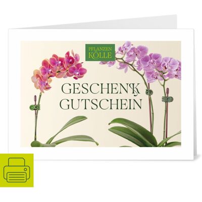 Pflanzen-Kölle Gutschein zum Ausdrucken 'Orchidee' Pflanzen-Kölle Gutschein zum Ausdrucken 'Orchidee'
