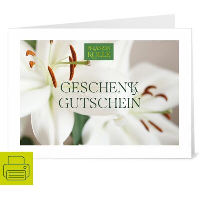 Pflanzen-Kölle Gutschein zum Ausdrucken 'Lilie' Pflanzen-Kölle Gutschein zum Ausdrucken 'Lilie'