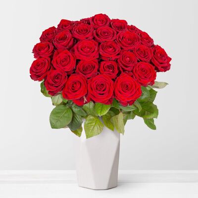 Pflanzen-Kölle 50 rote Rosen 'Red Naomi' Pflanzen-Kölle 50 rote Rosen 'Red Naomi'