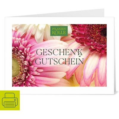 Pflanzen-Kölle Gutschein zum Ausdrucken 'Gerbera' Pflanzen-Kölle Gutschein zum Ausdrucken 'Gerbera'
