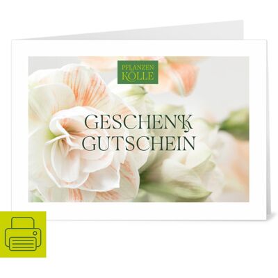 Pflanzen-Kölle Gutschein zum Ausdrucken 'Amaryllis' Pflanzen-Kölle Gutschein zum Ausdrucken 'Amaryllis'