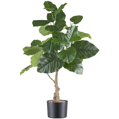 Pflanzen-Kölle Künstliche Steinfeige 'Ficus petioralis', Höhe ca. 85 cm