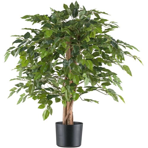 Pflanzen-Kölle Künstlicher Ficus benjamina, Höhe ca. 85 cm
