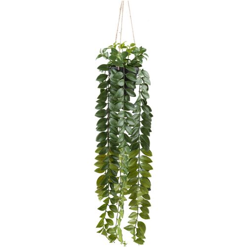 Pflanzen-Kölle Kunstpflanze Columnea gloriosa, Höhe ca. 85 cm